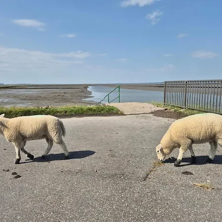 Kuestenzauber Nordsee Husum Casa de Férias