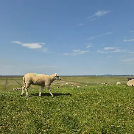 Kuestenzauber Nordsee Husum Casa de Férias *