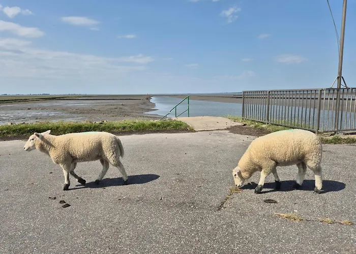 Kuestenzauber Nordsee Husum Casa de Férias
