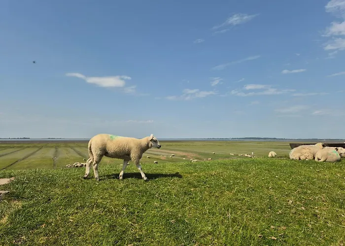 Kuestenzauber Nordsee Husum Casa de Férias *